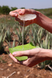 Taquitos de Aloe Vera Ecológico 320gr
